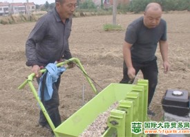 廣水市：機械化助力大蒜產業(yè)騰飛 ()