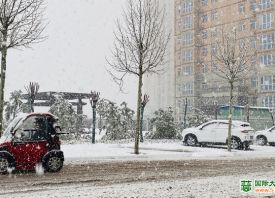 河南3月飄雪 蒜苗還好嗎？ ()