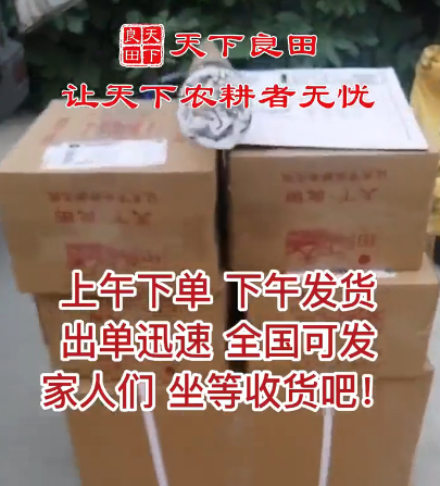 上午下單，下午發(fā)貨，出單迅速 ()