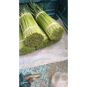 河南省尉氏縣大營鄉(xiāng)紅冒蒜薹