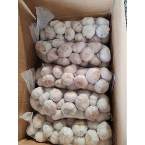 大蒜出口，大蒜加工
